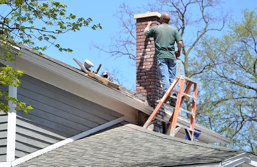 Chimney & Fireplace Inspections Services in Nogales, AZ